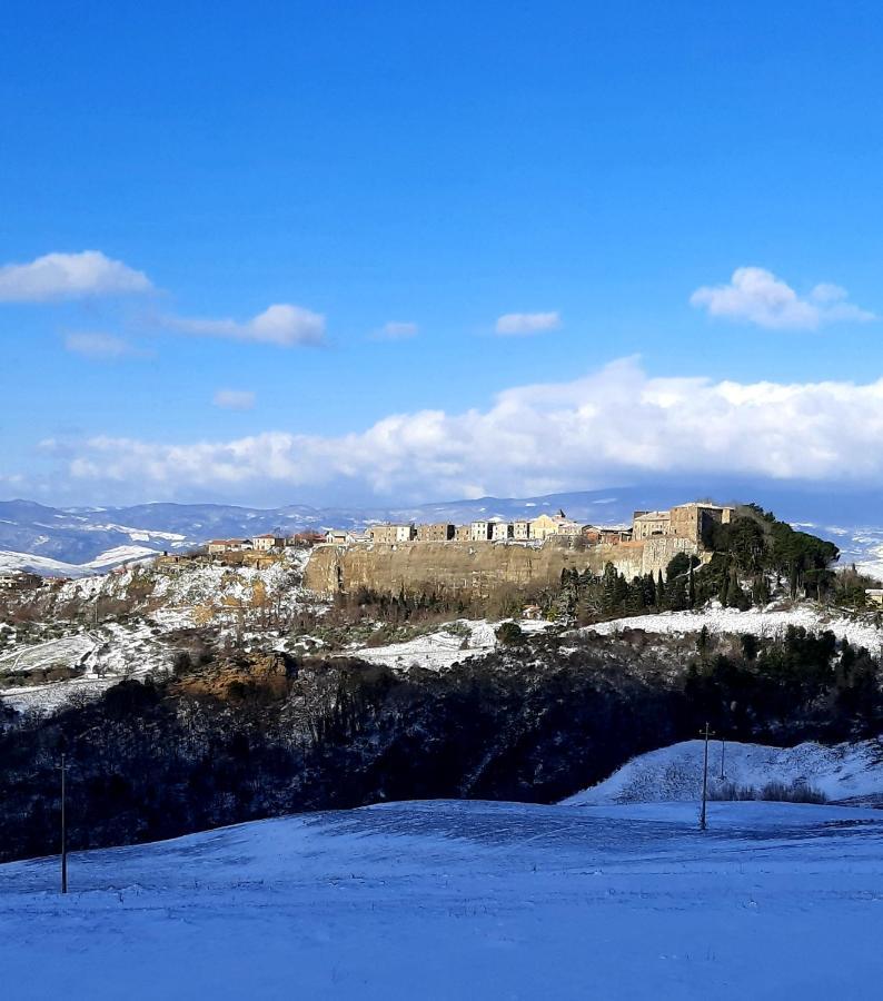 Podere Orto Wine Country House Trevinano Exteriör bild
