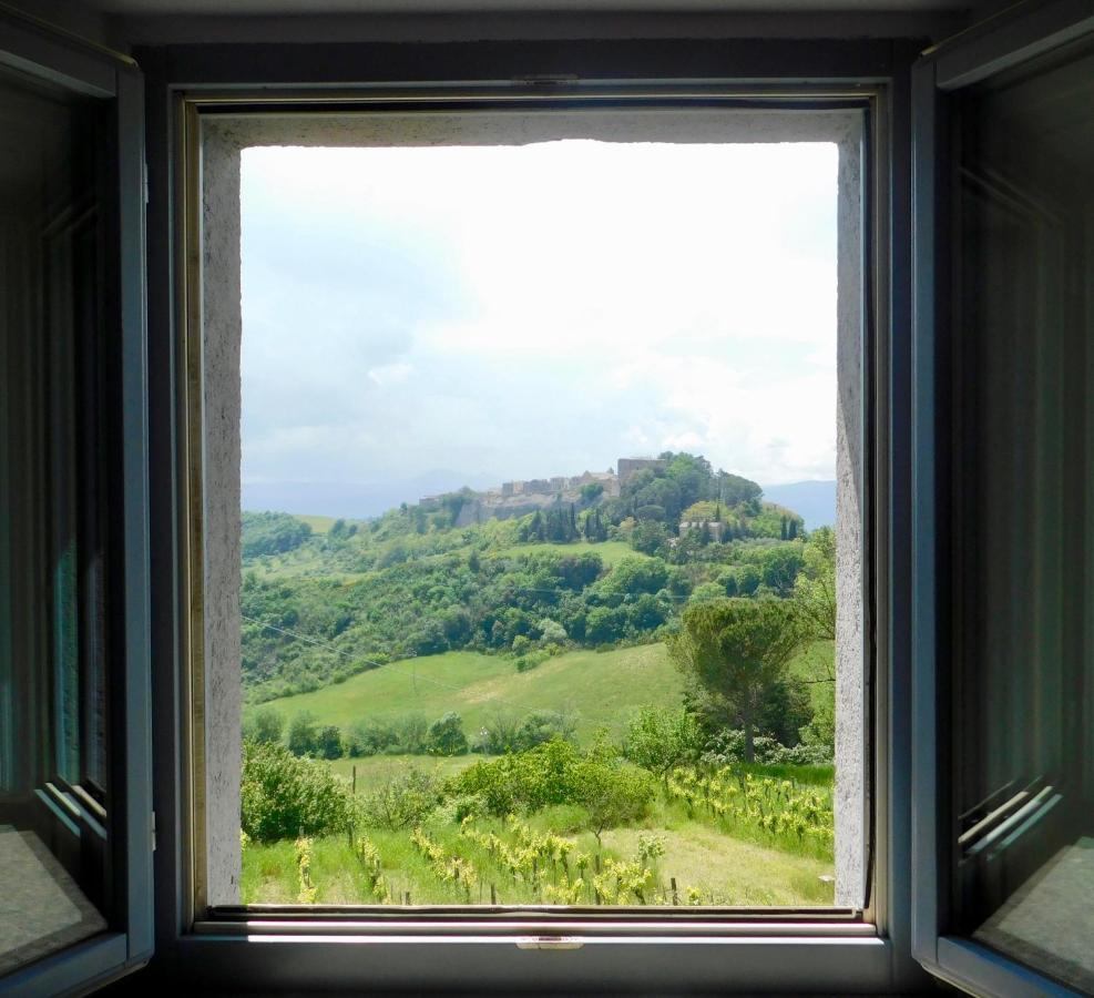 Podere Orto Wine Country House Trevinano Exteriör bild
