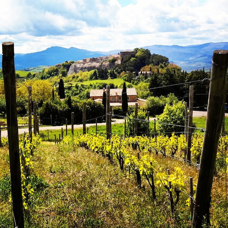 Podere Orto Wine Country House Trevinano Exteriör bild