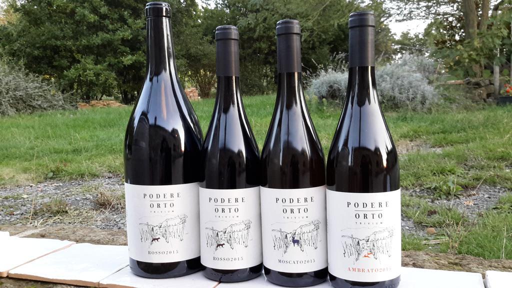 Podere Orto Wine Country House Trevinano Exteriör bild